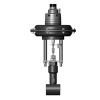 8000BS Series Bellows Stem Seal